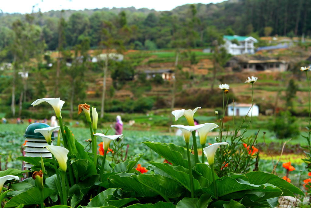 Hotel Ashford Nuwara Eliya Buitenkant foto